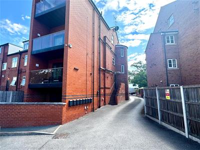 Picture 9